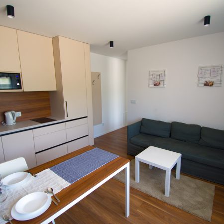 Apartmani Petrinja Najam Apartmana Sobe Smjestaj 01