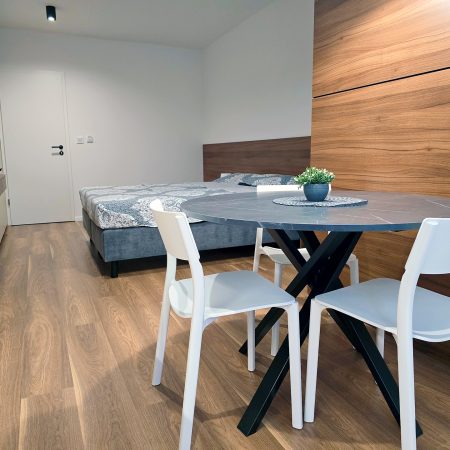 Apartmani Petrinja Sisak Sobe Najam 1